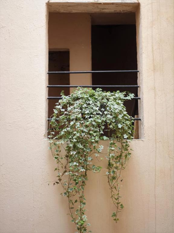 Chemin Du Muguet Διαμέρισμα Μπορντό Εξωτερικό φωτογραφία
